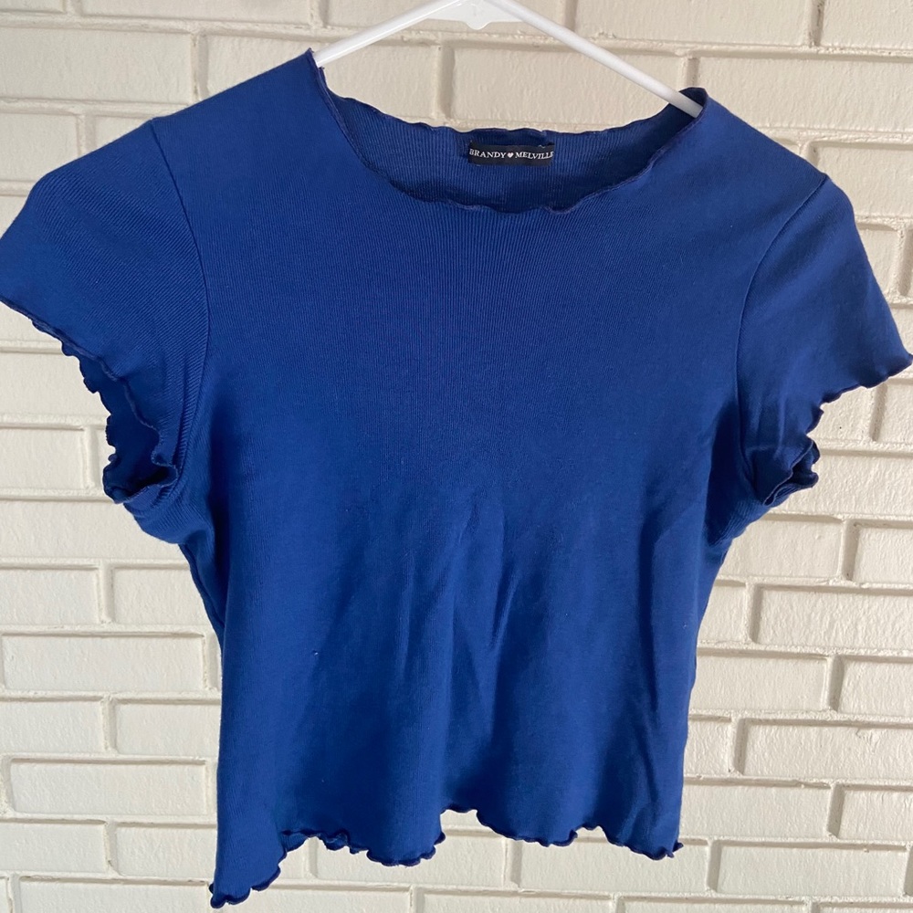 Brandy Melville Ruffle Crop Too